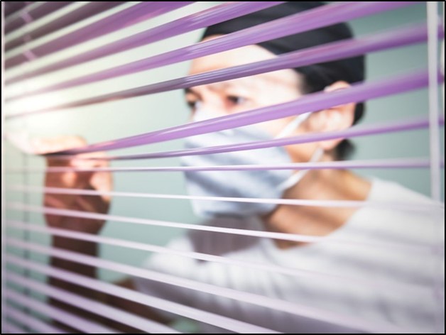 Blinds Installation Services Dubai's Privacy & Style | Nine Cloud